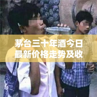 茅台三十年酒今日最新价格走势及收藏投资价值深度解析