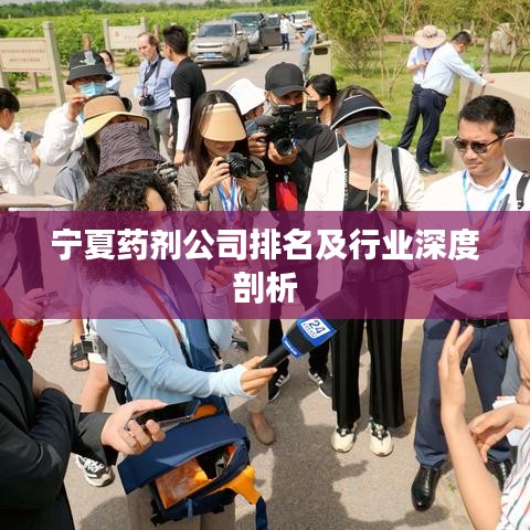 宁夏药剂公司排名及行业深度剖析
