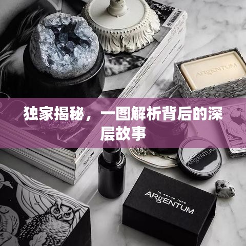 独家揭秘，一图解析背后的深层故事