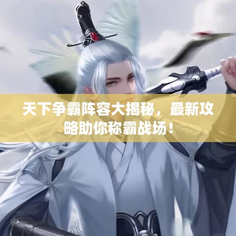 天下争霸阵容大揭秘，最新攻略助你称霸战场！
