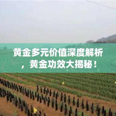 黄金多元价值深度解析，黄金功效大揭秘！