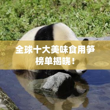全球十大美味食用笋榜单揭晓！
