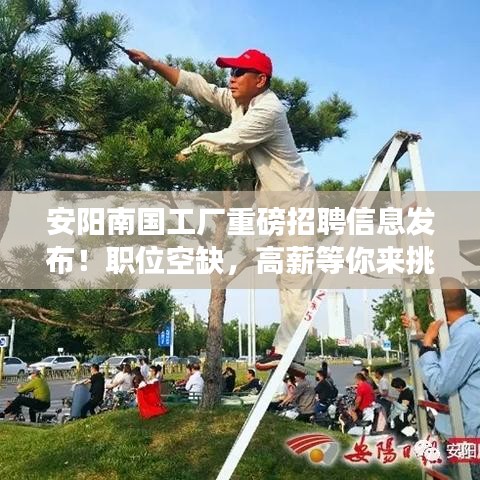 安阳南国工厂重磅招聘信息发布！职位空缺，高薪等你来挑战！