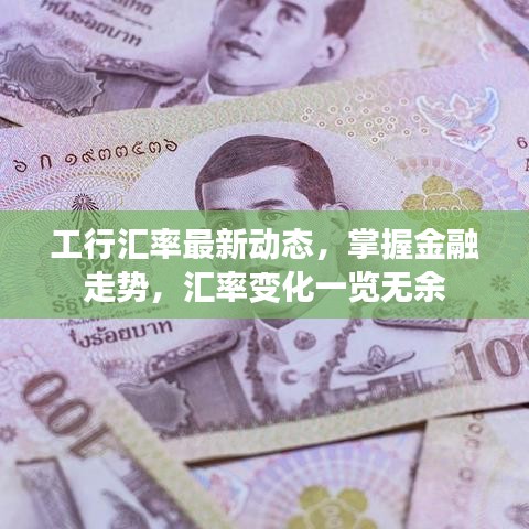 工行汇率最新动态，掌握金融走势，汇率变化一览无余