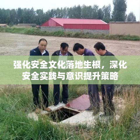 强化安全文化落地生根，深化安全实践与意识提升策略