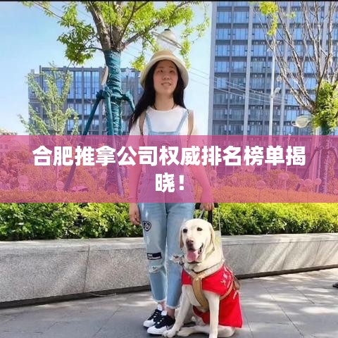 合肥推拿公司权威排名榜单揭晓！