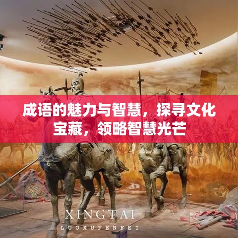 成语的魅力与智慧，探寻文化宝藏，领略智慧光芒
