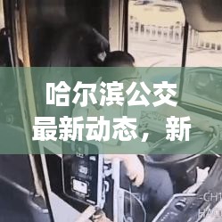 哈尔滨公交最新动态，新闻头条一网打尽