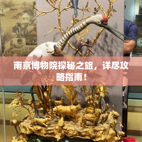 南京博物院探秘之旅，详尽攻略指南！