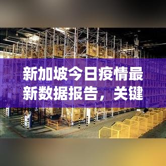 新加坡今日疫情最新数据报告，关键数据揭秘防控进展