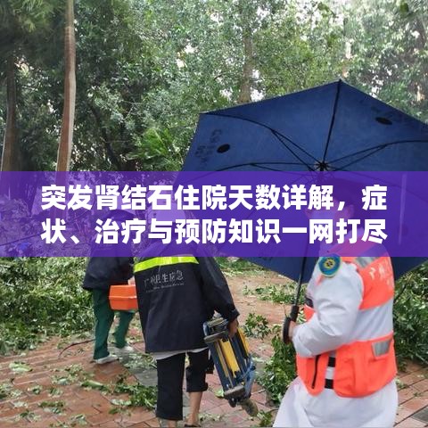 突发肾结石住院天数详解，症状、治疗与预防知识一网打尽