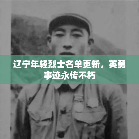 辽宁年轻烈士名单更新，英勇事迹永传不朽