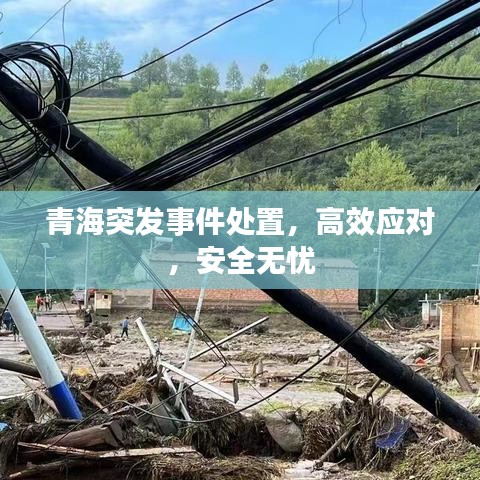 青海突发事件处置，高效应对，安全无忧