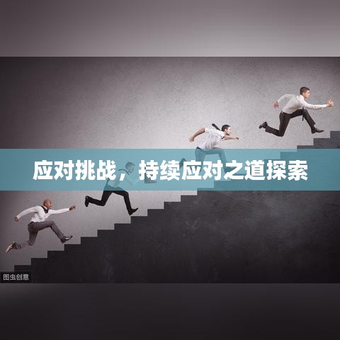 应对挑战，持续应对之道探索