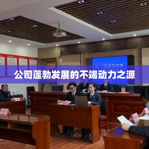 公司蓬勃发展的不竭动力之源