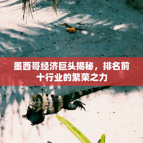 墨西哥经济巨头揭秘，排名前十行业的繁荣之力
