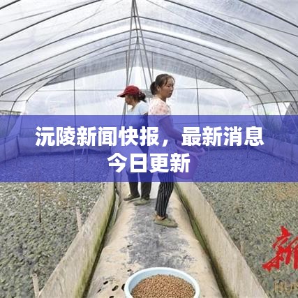 沅陵新闻快报，最新消息今日更新