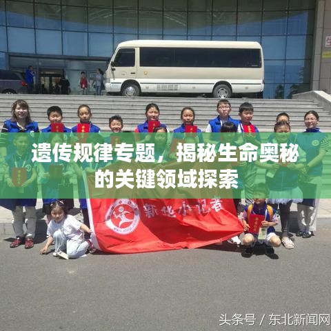 遗传规律专题，揭秘生命奥秘的关键领域探索