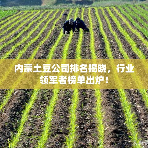 刚毅木讷