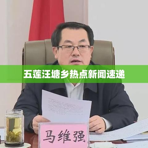 五莲汪塘乡热点新闻速递