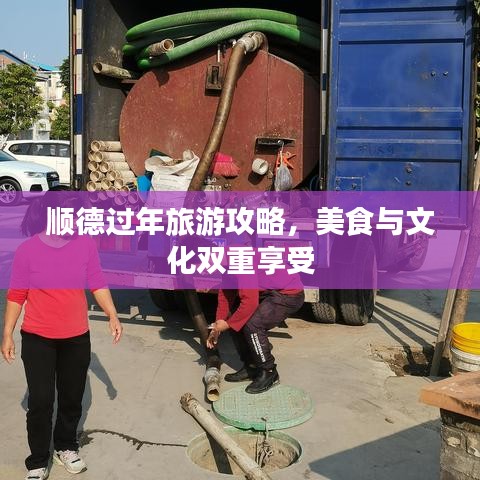 顺德过年旅游攻略，美食与文化双重享受