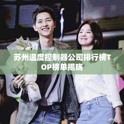 苏州温度控制器公司排行榜TOP榜单揭晓