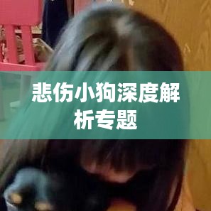 悲伤小狗深度解析专题