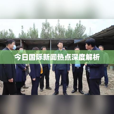 今日国际新闻热点深度解析