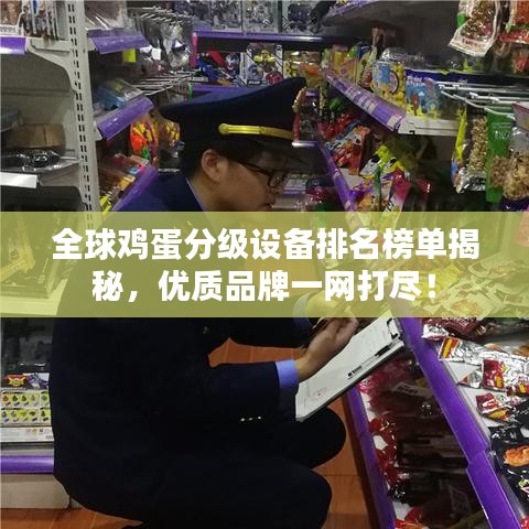 全球鸡蛋分级设备排名榜单揭秘，优质品牌一网打尽！