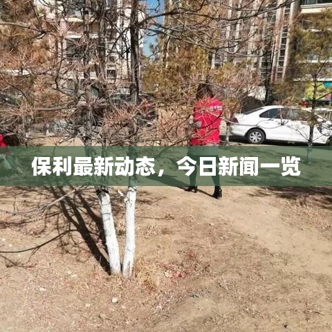 服务支持 第23页