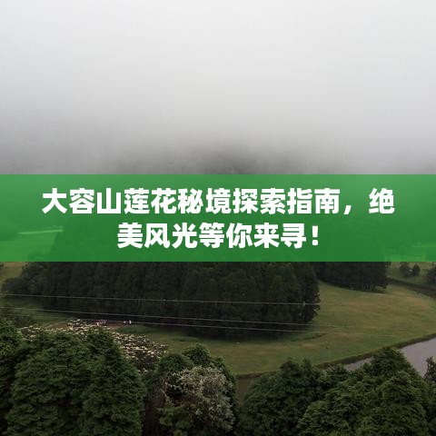 大容山莲花秘境探索指南，绝美风光等你来寻！