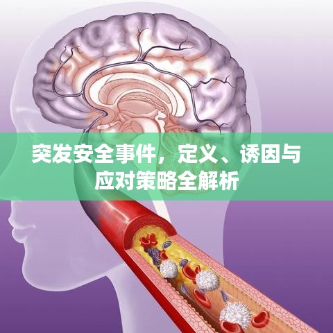 突发安全事件，定义、诱因与应对策略全解析