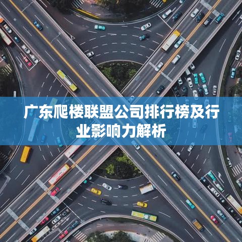 广东爬楼联盟公司排行榜及行业影响力解析