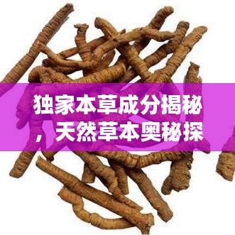 独家本草成分揭秘，天然草本奥秘探寻