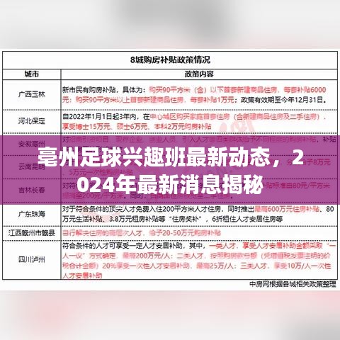 亳州足球兴趣班最新动态，2024年最新消息揭秘
