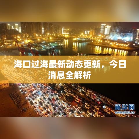 海口过海最新动态更新，今日消息全解析