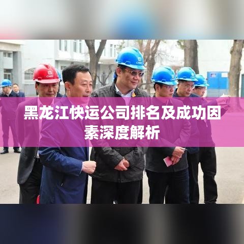 黑龙江快运公司排名及成功因素深度解析