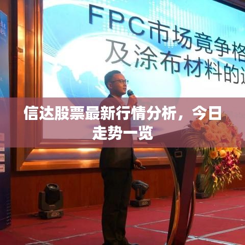 信达股票最新行情分析，今日走势一览