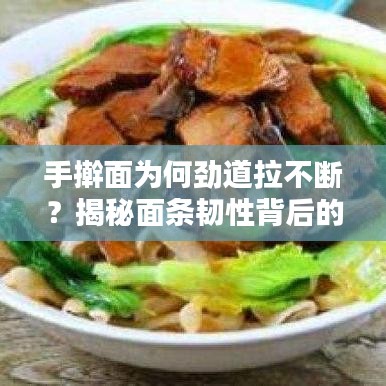 手擀面为何劲道拉不断？揭秘面条韧性背后的秘密！