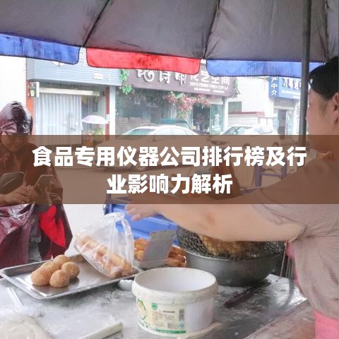 食品专用仪器公司排行榜及行业影响力解析