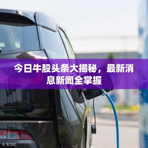 今日牛股头条大揭秘，最新消息新闻全掌握