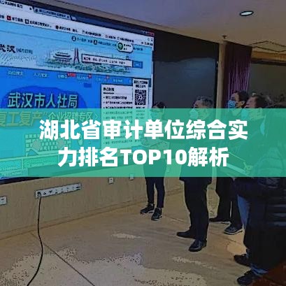 湖北省审计单位综合实力排名TOP10解析