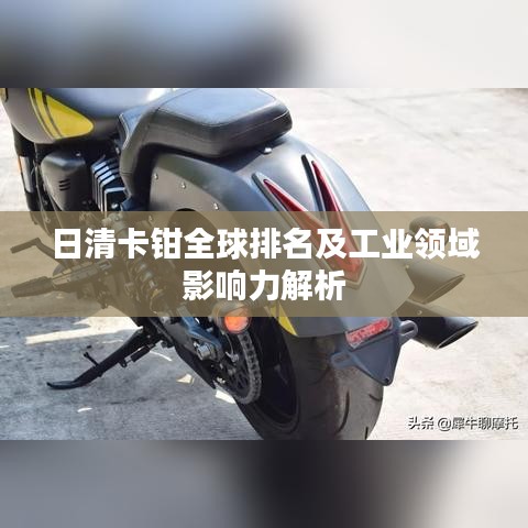 成功案例 第12页