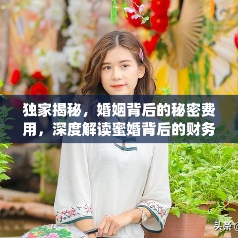 独家揭秘，婚姻背后的秘密费用，深度解读蜜婚背后的财务真相