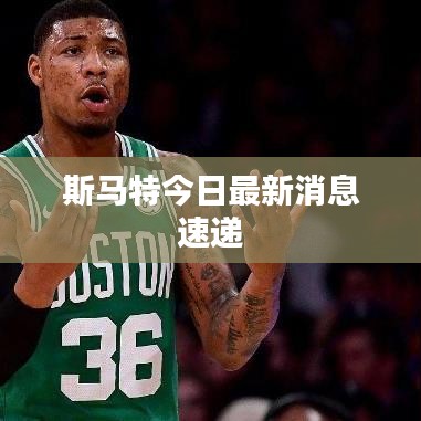 斯马特今日最新消息速递