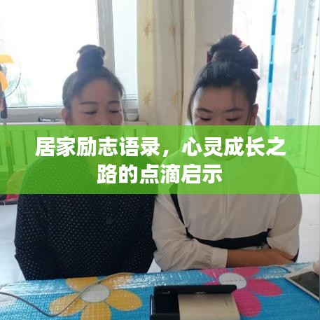 在线留言 第10页