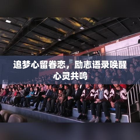 追梦心留眷恋，励志语录唤醒心灵共鸣