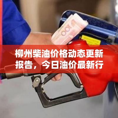 柳州柴油价格动态更新报告，今日油价最新行情分析