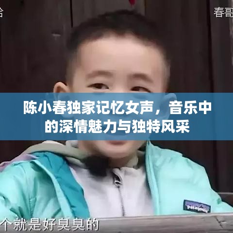 陈小春独家记忆女声，音乐中的深情魅力与独特风采