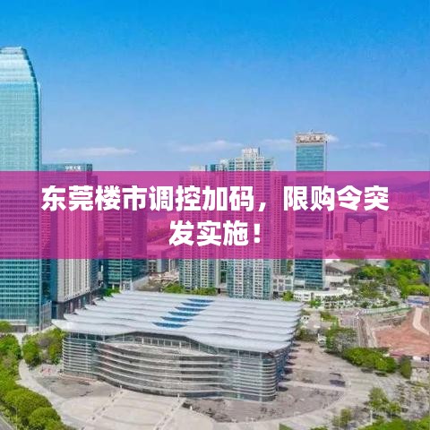 东莞楼市调控加码，限购令突发实施！